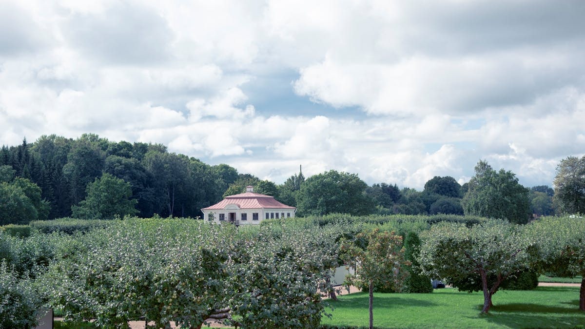 Scenic orchard landscape with a farmhouse surrounded by lush greenery under a bright sky.